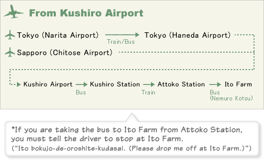 [Fro Kushiro Airport]

Tokyo (Narita Airport) → Tokyo (Haneda Airport) → Kushiro Airport → Attoko Station → Ito Farm

Central Japan International Airport → Kushiro Airport → Attoko Station → Ito Farm

Sapporo (Chitose Airport) → Kushiro Airport → Attoko Station → Ito Farm*If you are taking the bus to Ito Farm, you must tell the driver
 to stop at Ito Farm Ito bokujo-de-oroshite-kudasai. -Please drop me off at Ito Farm