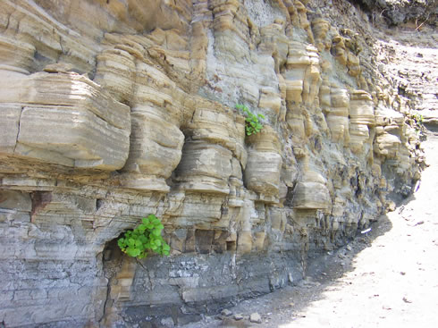 erosion by wind. Erosion by Wind and Waves