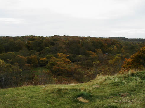 Habitat of Blackiston's Fish Owl