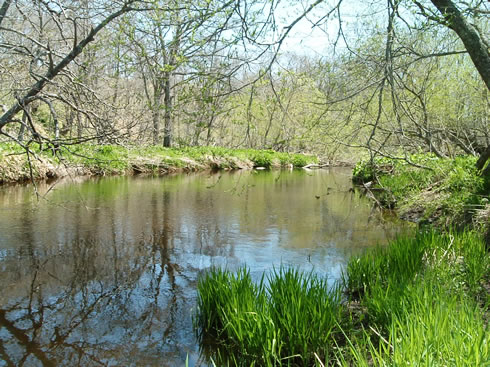 Natural Beauty around Rivers