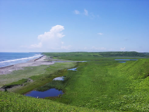 御台馬場